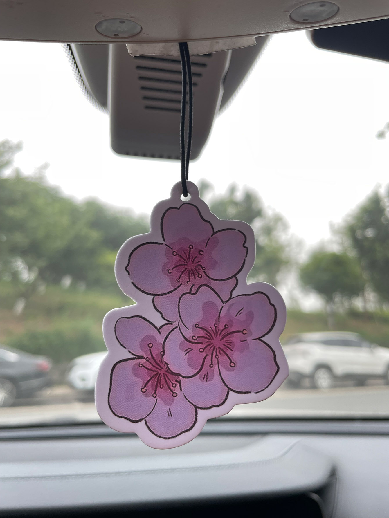 Home Fragrance Non Toxic - Perfume Automotivo Neutro de Cinco Estrelas